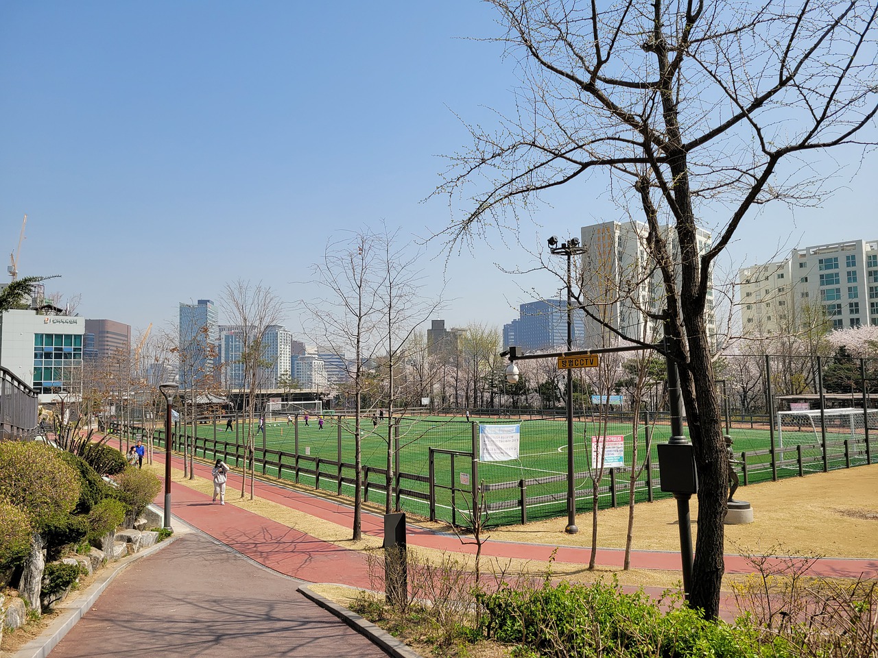 的冷静分析 的冷静分析