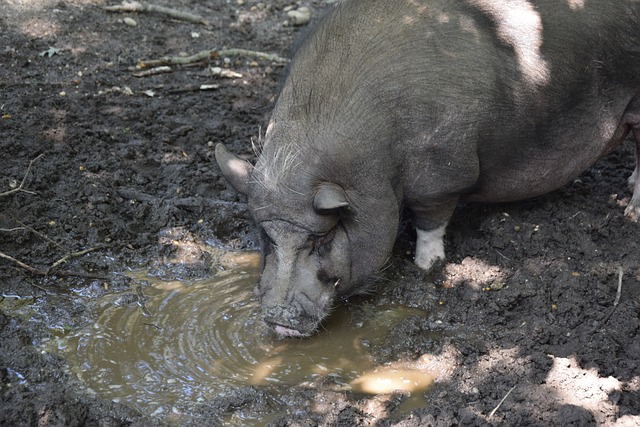 不可否认 不可否认
