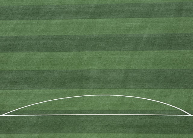 郭昊文背锅 郭昊文背锅