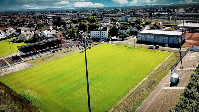 西甲第28輪萊萬特1-1西班牙人 普阿多破門叠戈洛佩斯傷退.