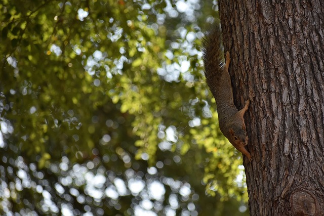 桌球︱奧蘇利雲災難球季未言退　豪言重拾熱情可再打10年.