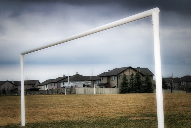 热刺并未因 热刺并未因