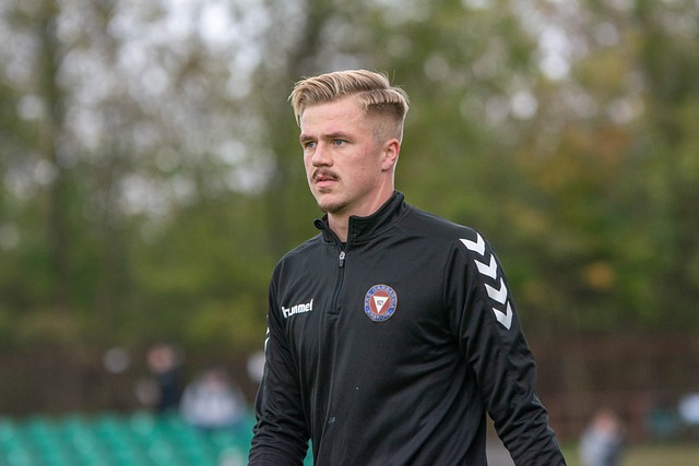 也极大地提 也极大地提