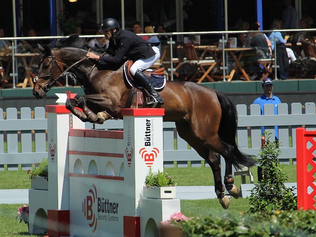 德高和萨利 德高和萨利