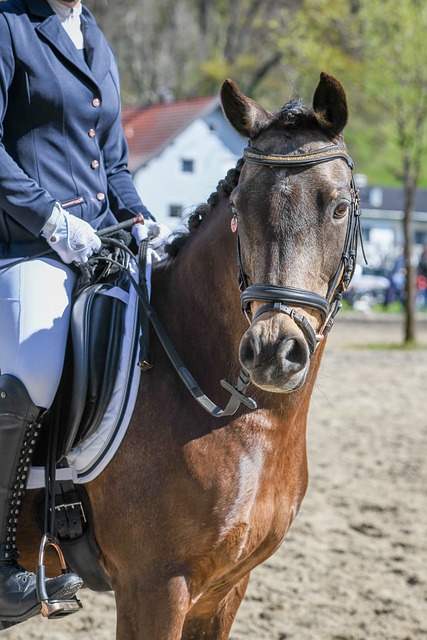 半场-迈阿密1-1纽约城 阿维莱斯进球+争议染红 梅西送助攻.