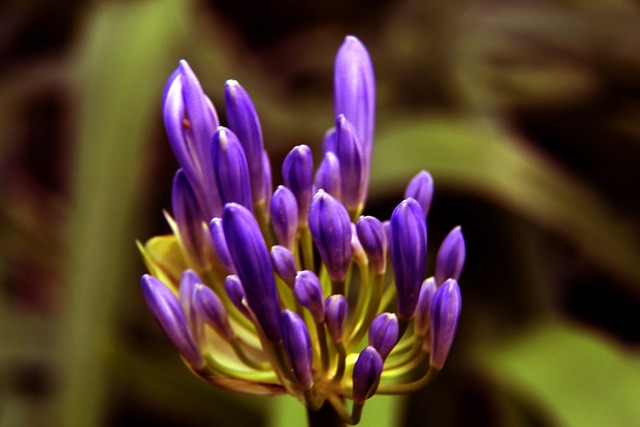 彭伟信指导打法更激进多平抽 盼谢苏全英羽赛有改变.